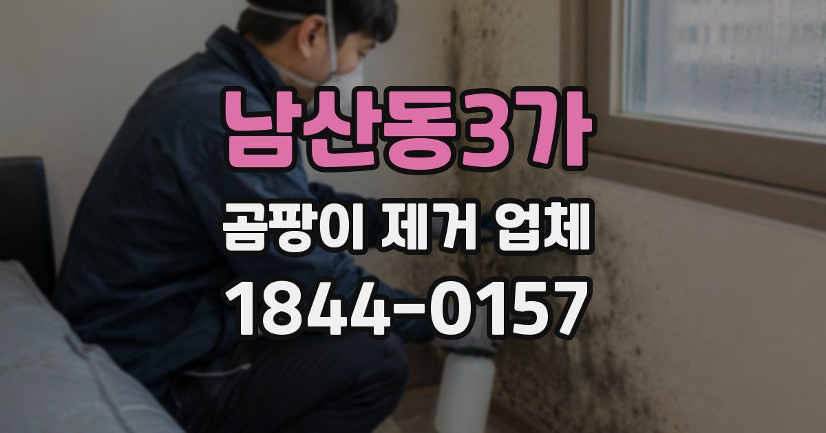 남산동3가 곰팡이 제거 업체