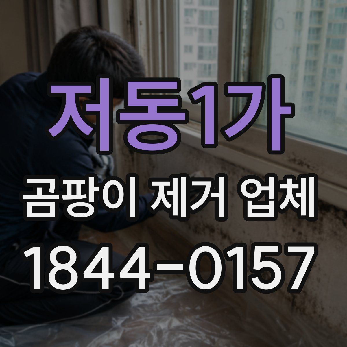 저동1가 곰팡이 제거 업체 상담 시 물어볼 핵심 질문