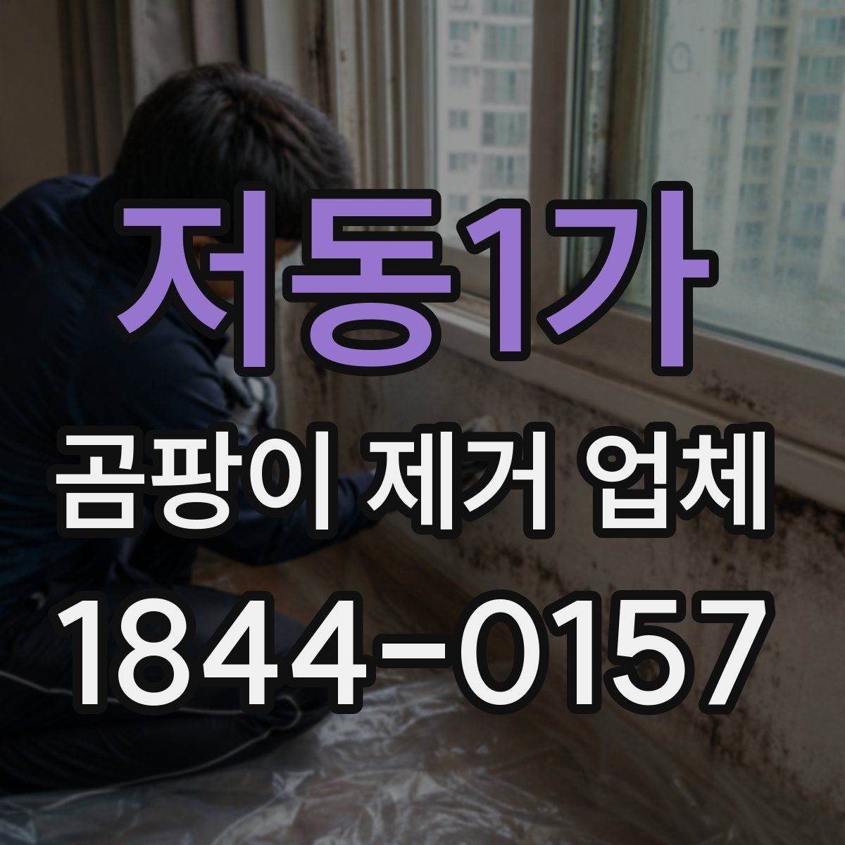 저동1가 곰팡이 제거 업체
