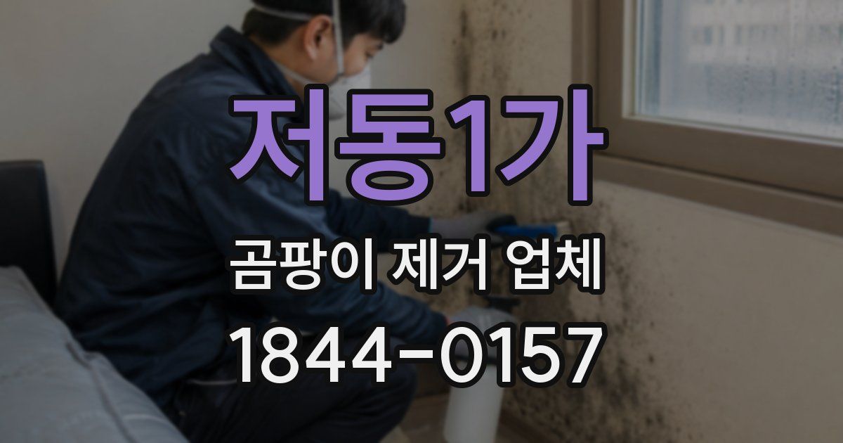 저동1가 곰팡이 제거 업체