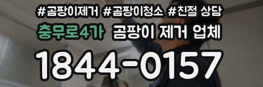 충무로4가 곰팡이 제거 업체