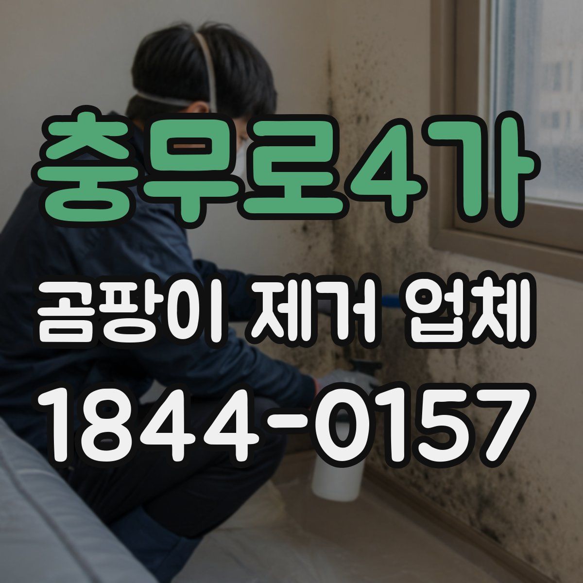 충무로4가 곰팡이 제거 업체
