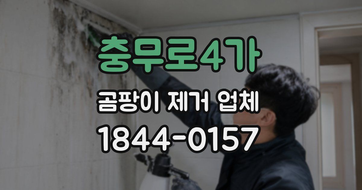 충무로4가 곰팡이 제거 업체