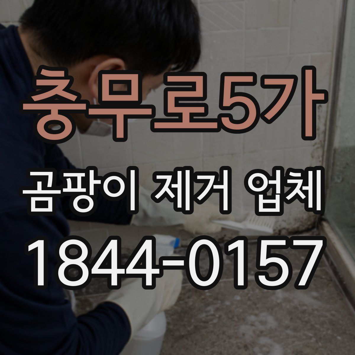 충무로5가 곰팡이 제거 업체