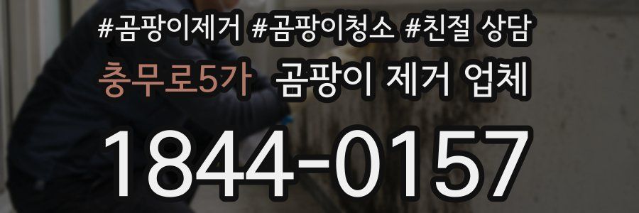 충무로5가 곰팡이 제거 업체