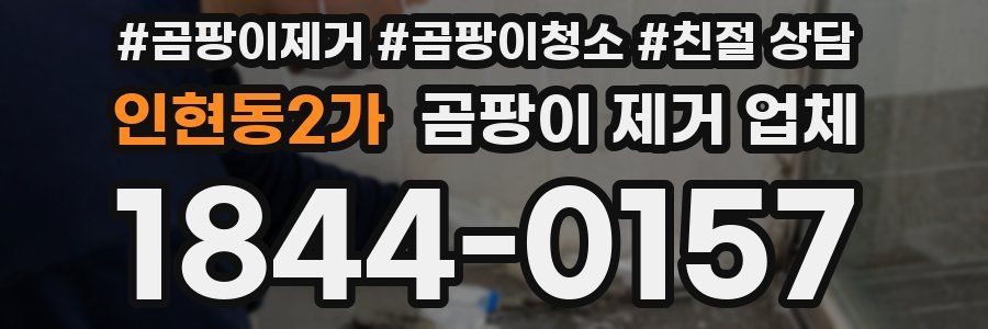 인현동2가 곰팡이 제거 업체