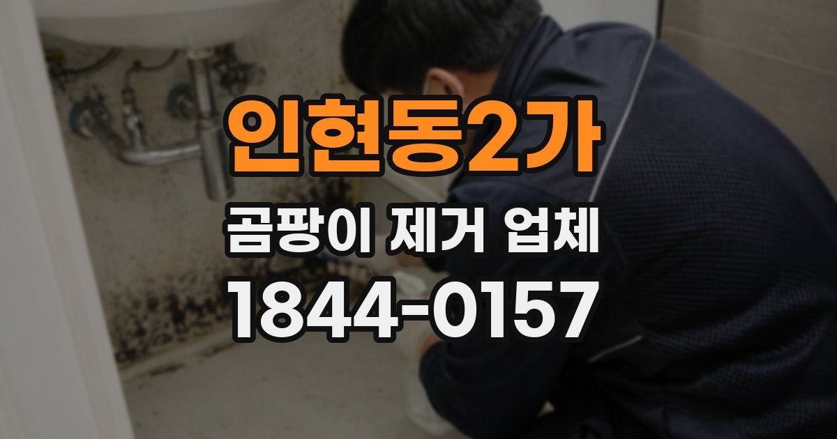 인현동2가 곰팡이 제거 업체