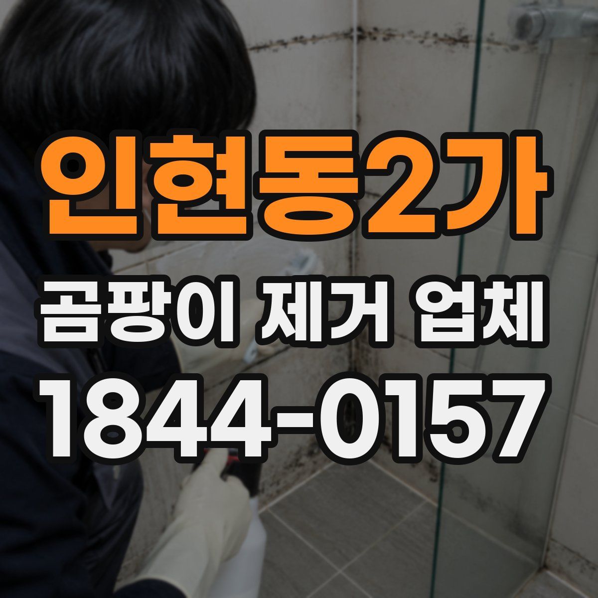 인현동2가 곰팡이 제거 업체