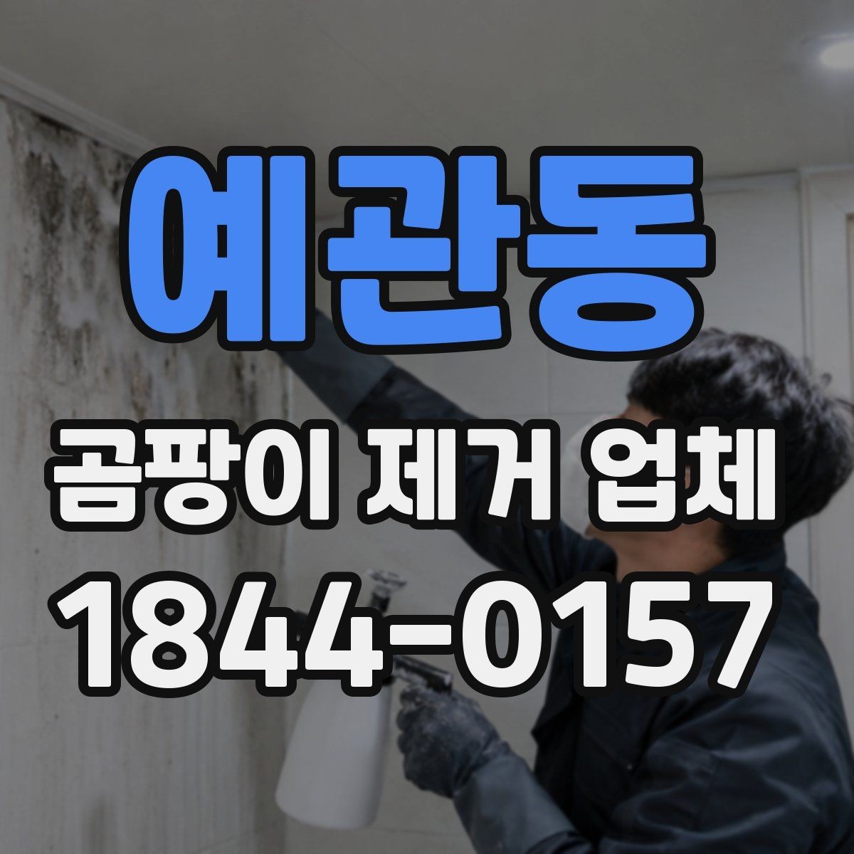 예관동 곰팡이 제거 업체 이용 전 상담 질문 정리