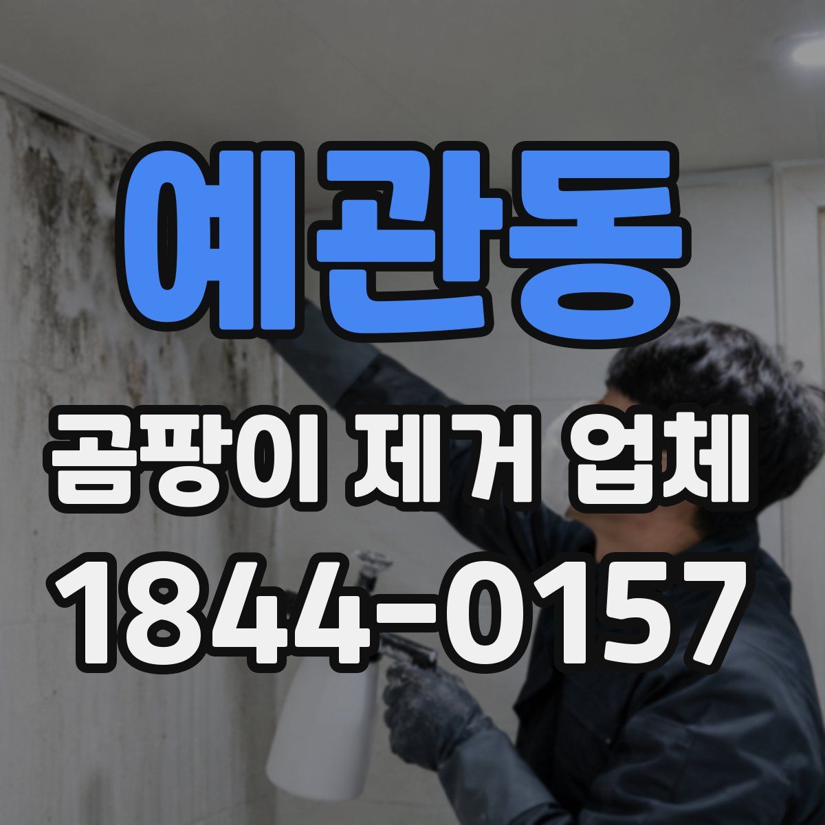 예관동 곰팡이 제거 업체