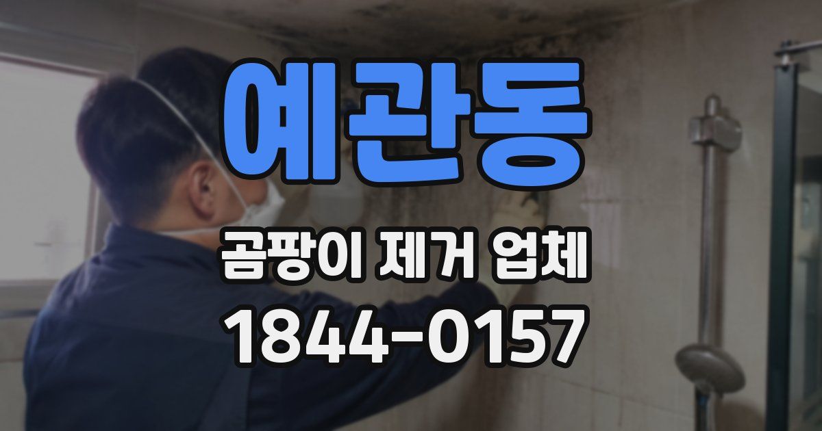 예관동 곰팡이 제거 업체