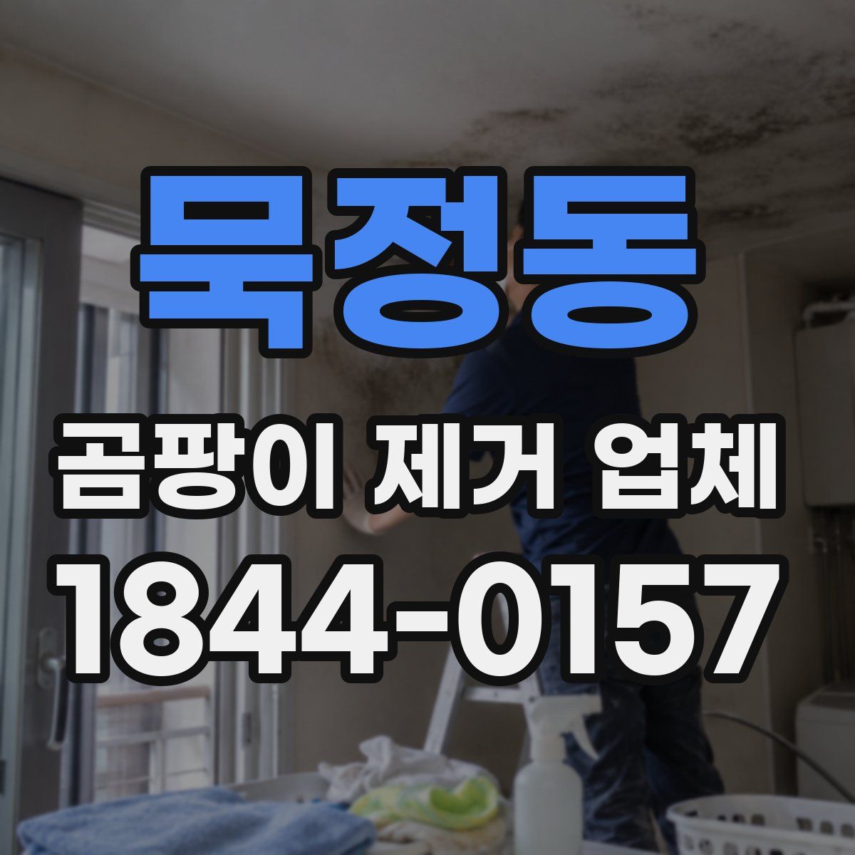 묵정동 곰팡이 제거 업체