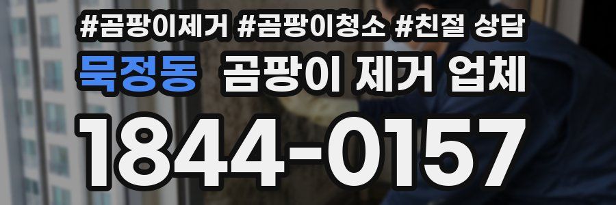 묵정동 곰팡이 제거 업체