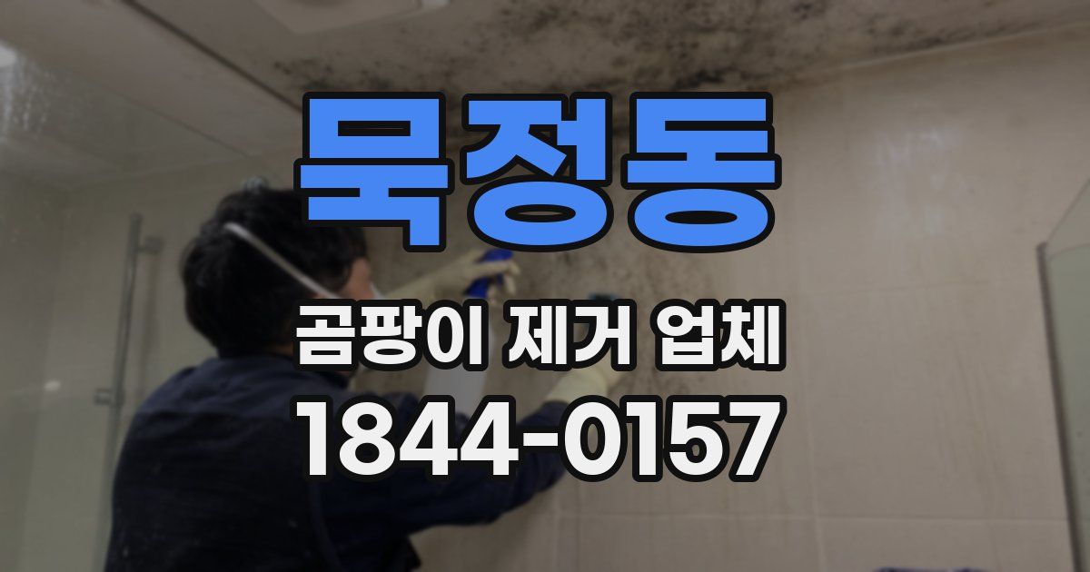 묵정동 곰팡이 제거 업체