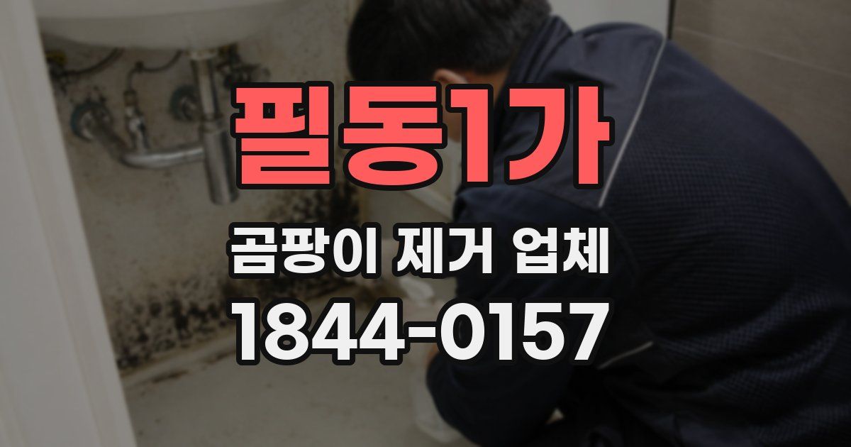 필동1가 곰팡이 제거 업체