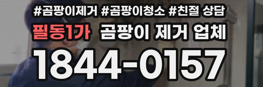 필동1가 곰팡이 제거 업체