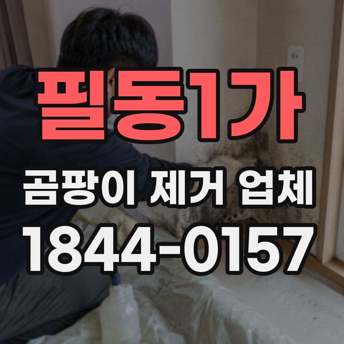 필동1가 곰팡이 제거 업체