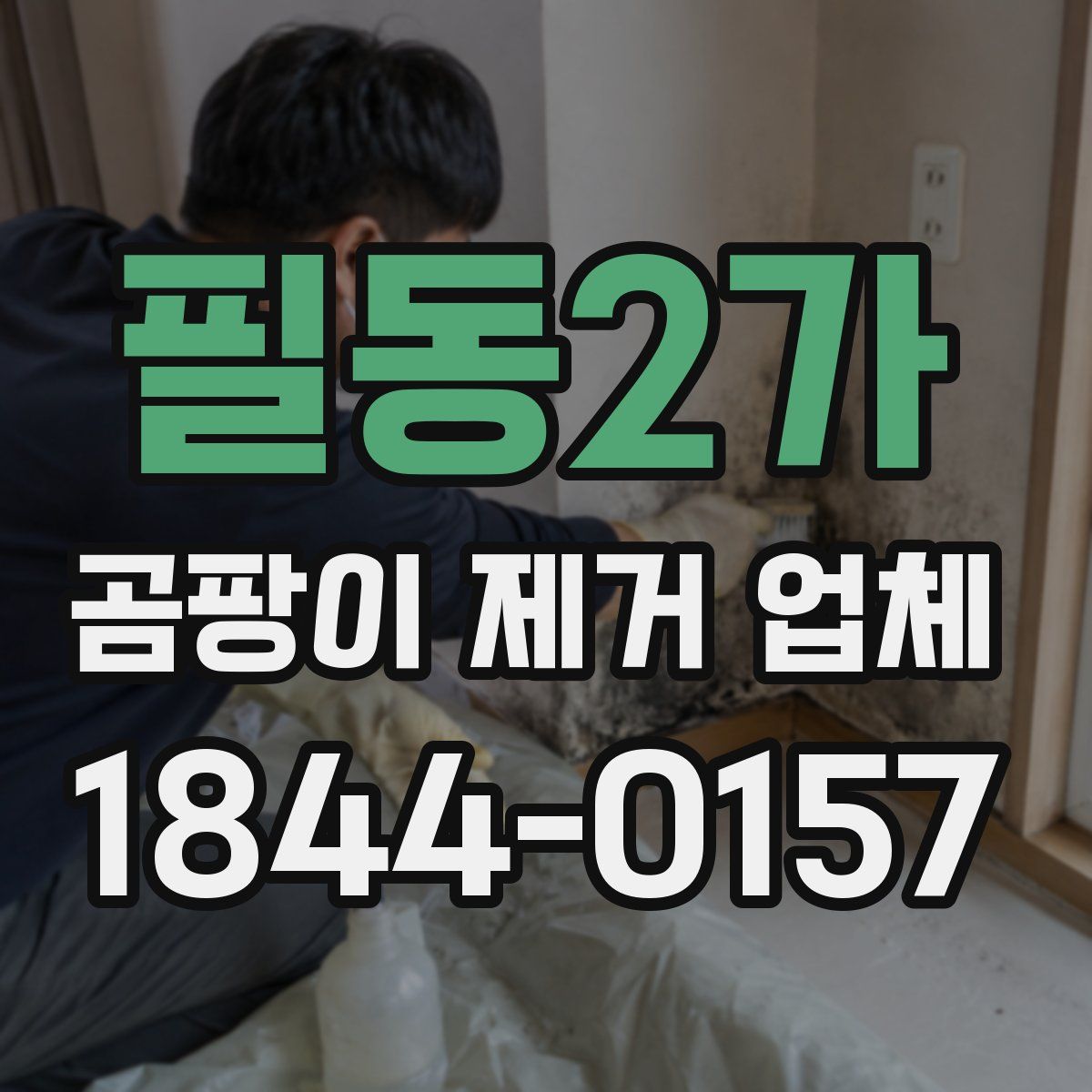 필동2가 곰팡이 제거 업체