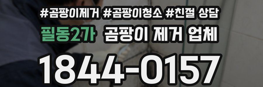 필동2가 곰팡이 제거 업체