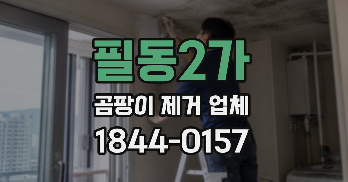필동2가 곰팡이 제거 업체
