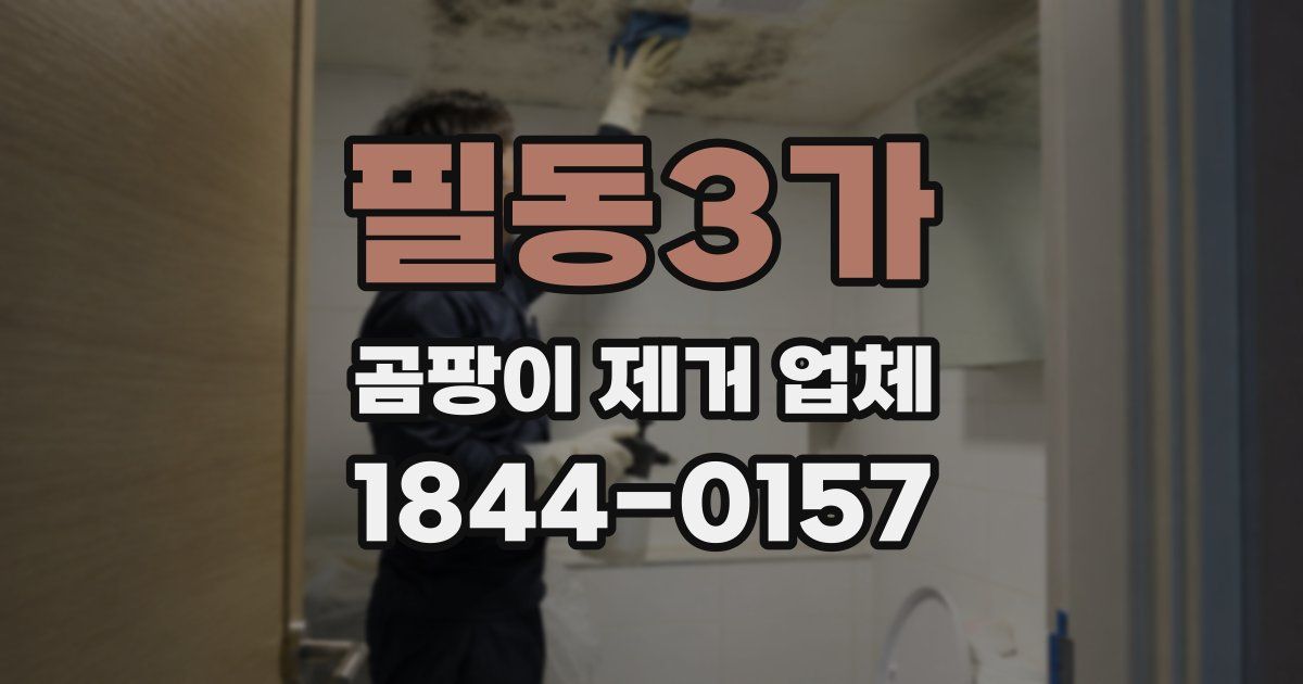 필동3가 곰팡이 제거 업체