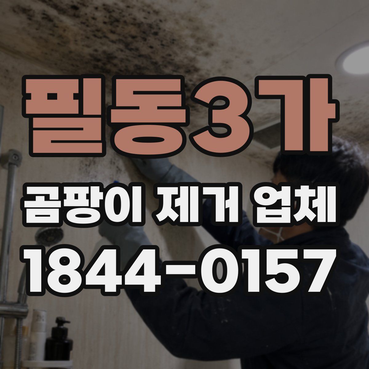 필동3가 곰팡이 제거 업체