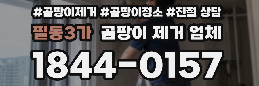 필동3가 곰팡이 제거 업체