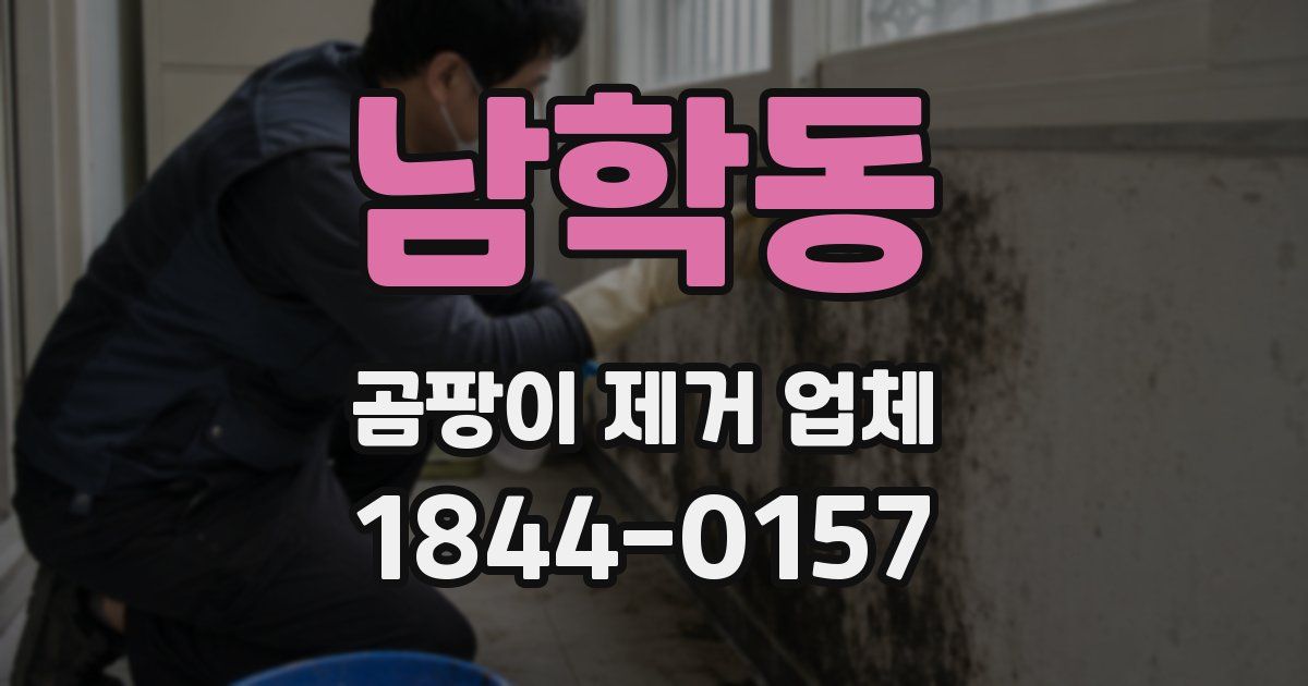 남학동 곰팡이 제거 업체