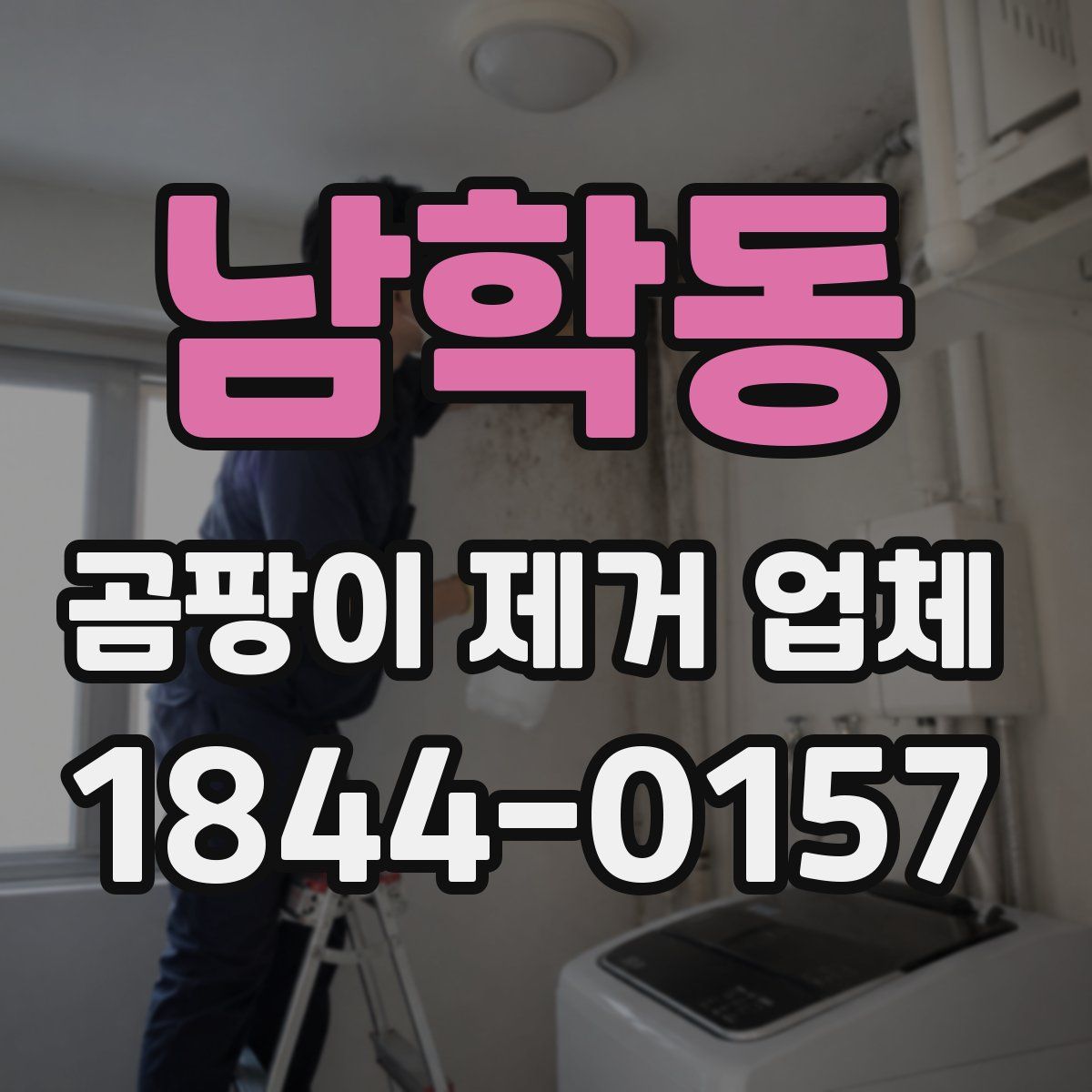 남학동 곰팡이 제거 업체