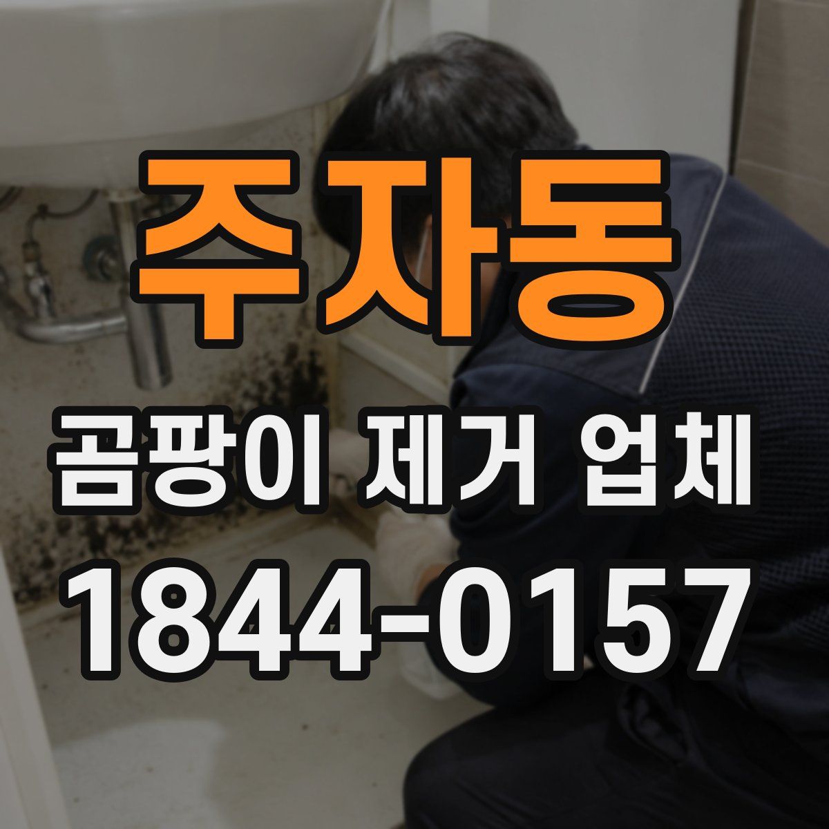주자동 곰팡이 제거 업체