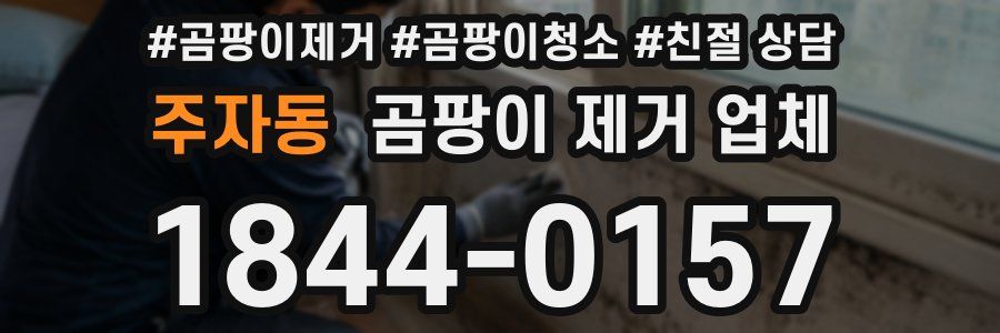 주자동 곰팡이 제거 업체