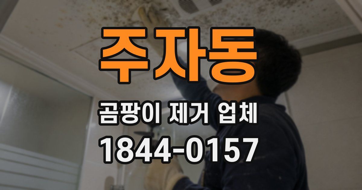 주자동 곰팡이 제거 업체