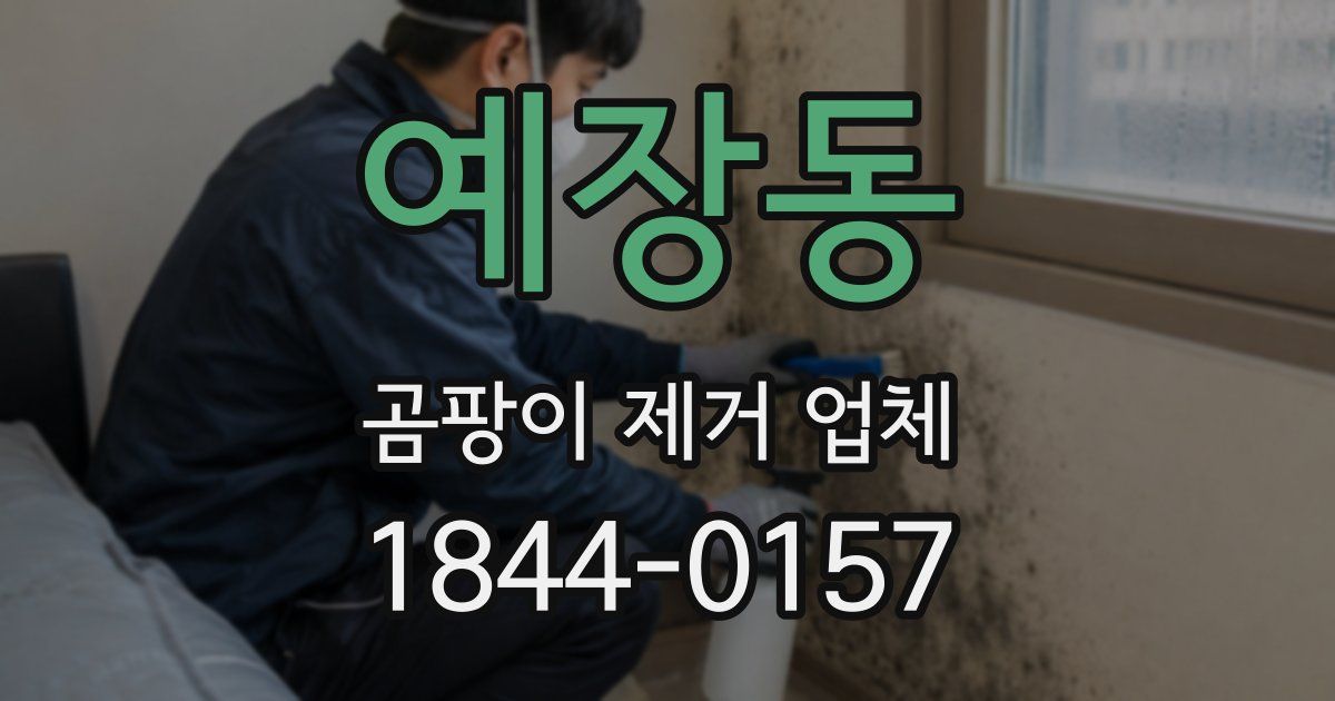예장동 곰팡이 제거 업체