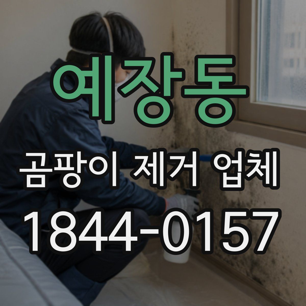 예장동 곰팡이 제거 업체
