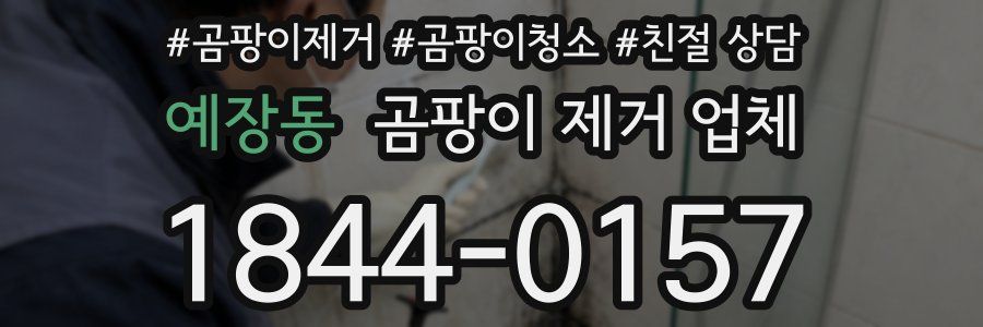 예장동 곰팡이 제거 업체