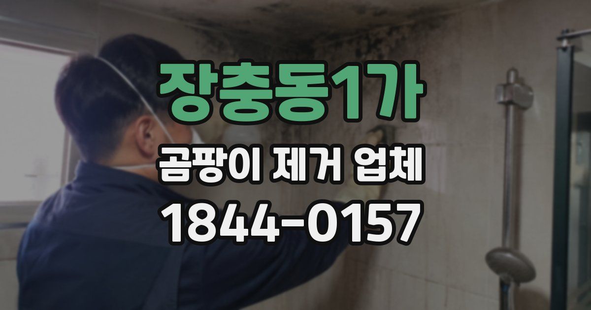 장충동1가 곰팡이 제거 업체