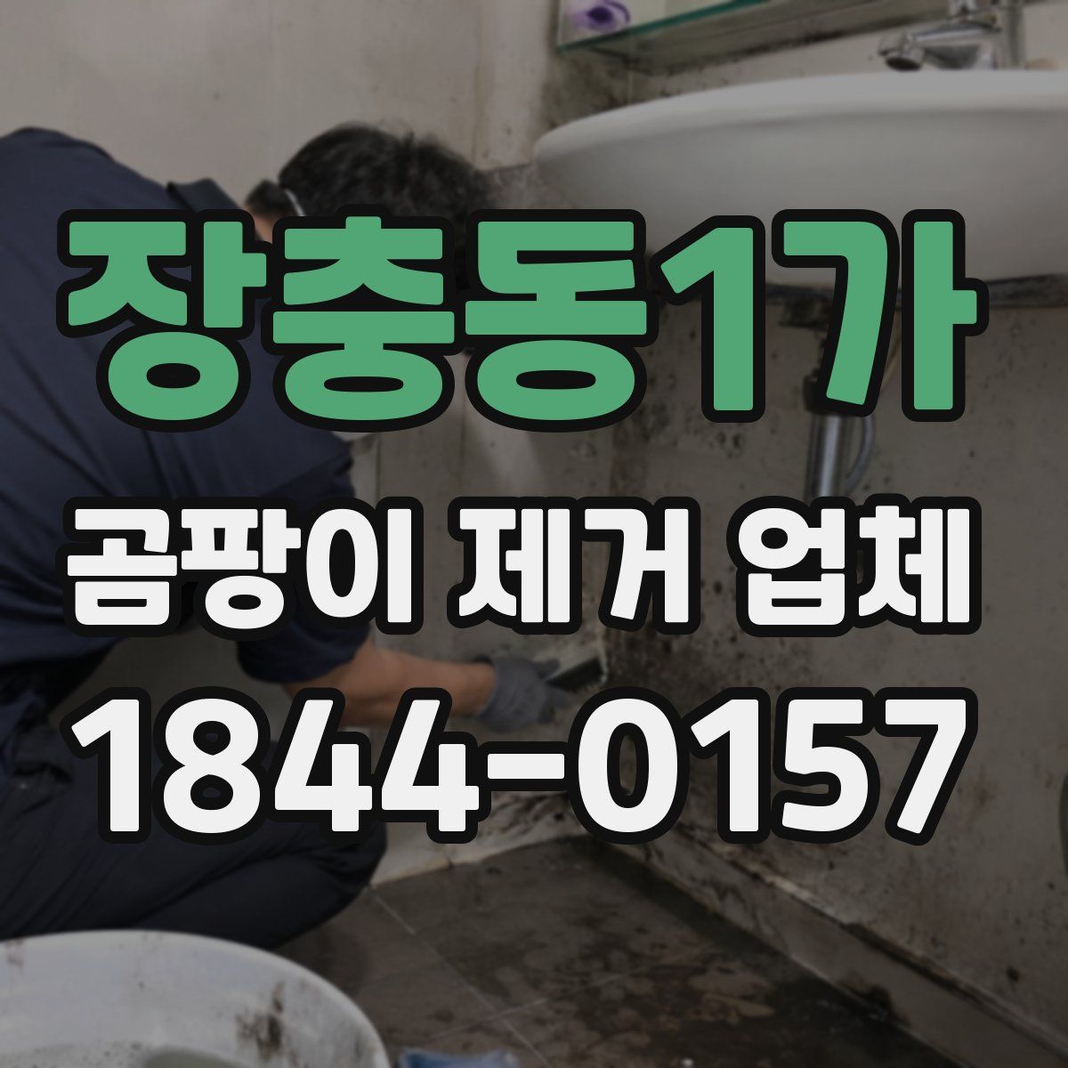 장충동1가 곰팡이 제거 업체