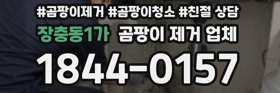 장충동1가 곰팡이 제거 업체
