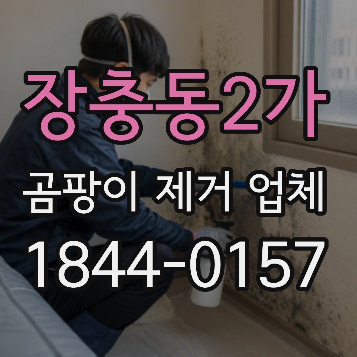 장충동2가 곰팡이 제거 업체 이용 후기에서 신뢰할 만한 신호