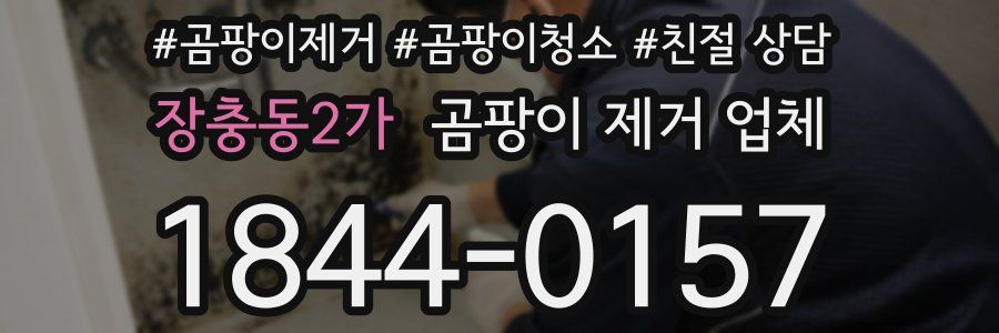 장충동2가 곰팡이 제거 업체