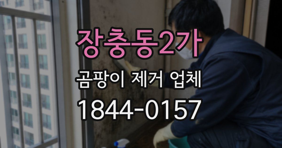 장충동2가 곰팡이 제거 업체