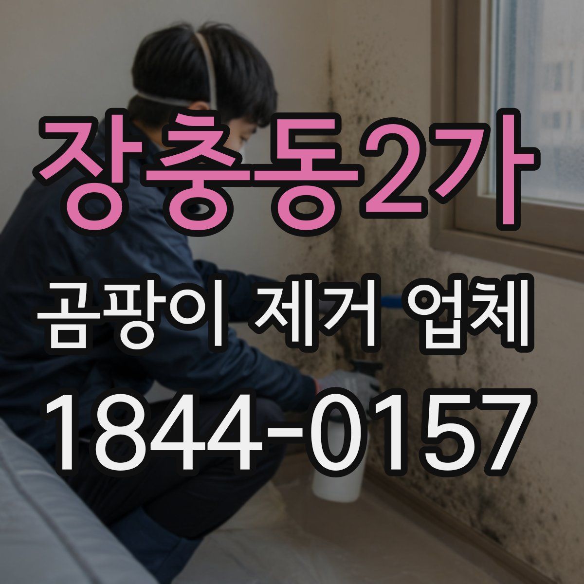 장충동2가 곰팡이 제거 업체