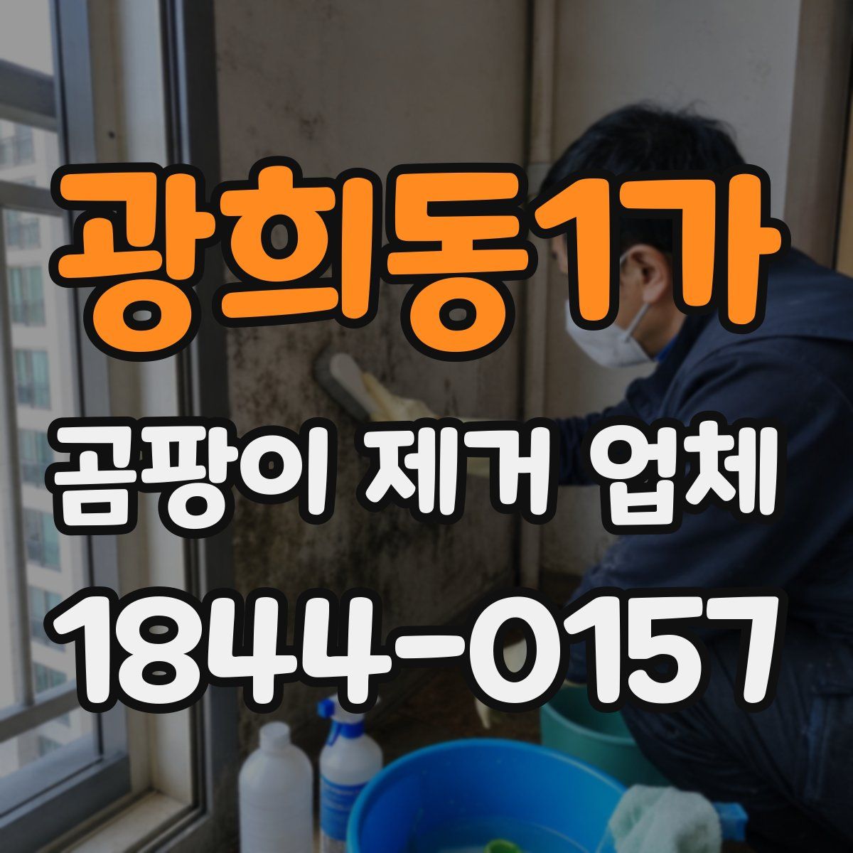 광희동1가 곰팡이 제거 업체