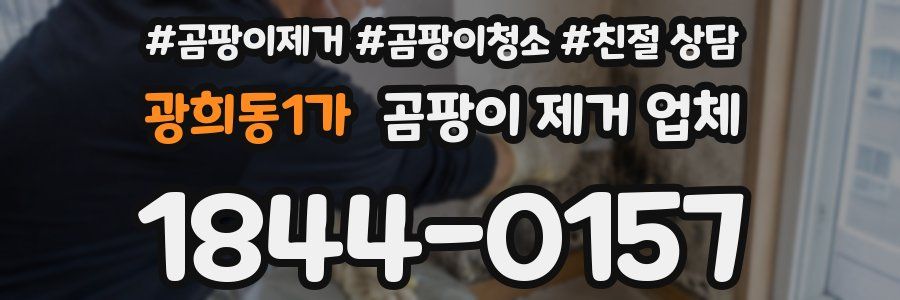 광희동1가 곰팡이 제거 업체