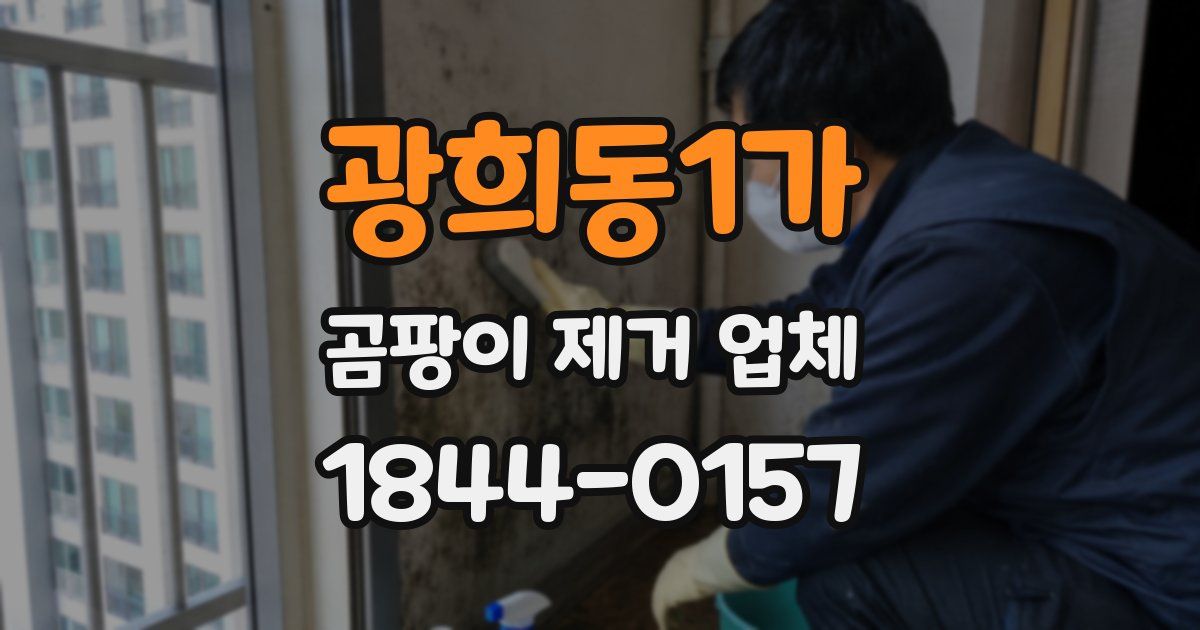 광희동1가 곰팡이 제거 업체