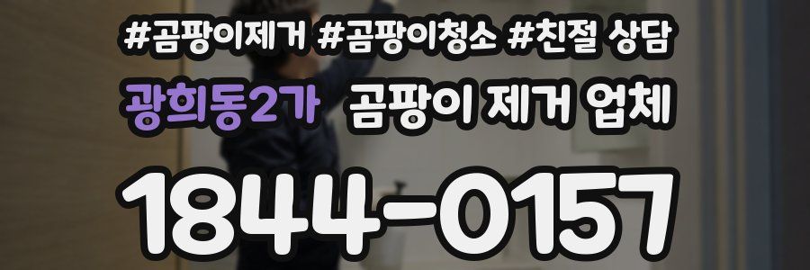 광희동2가 곰팡이 제거 업체