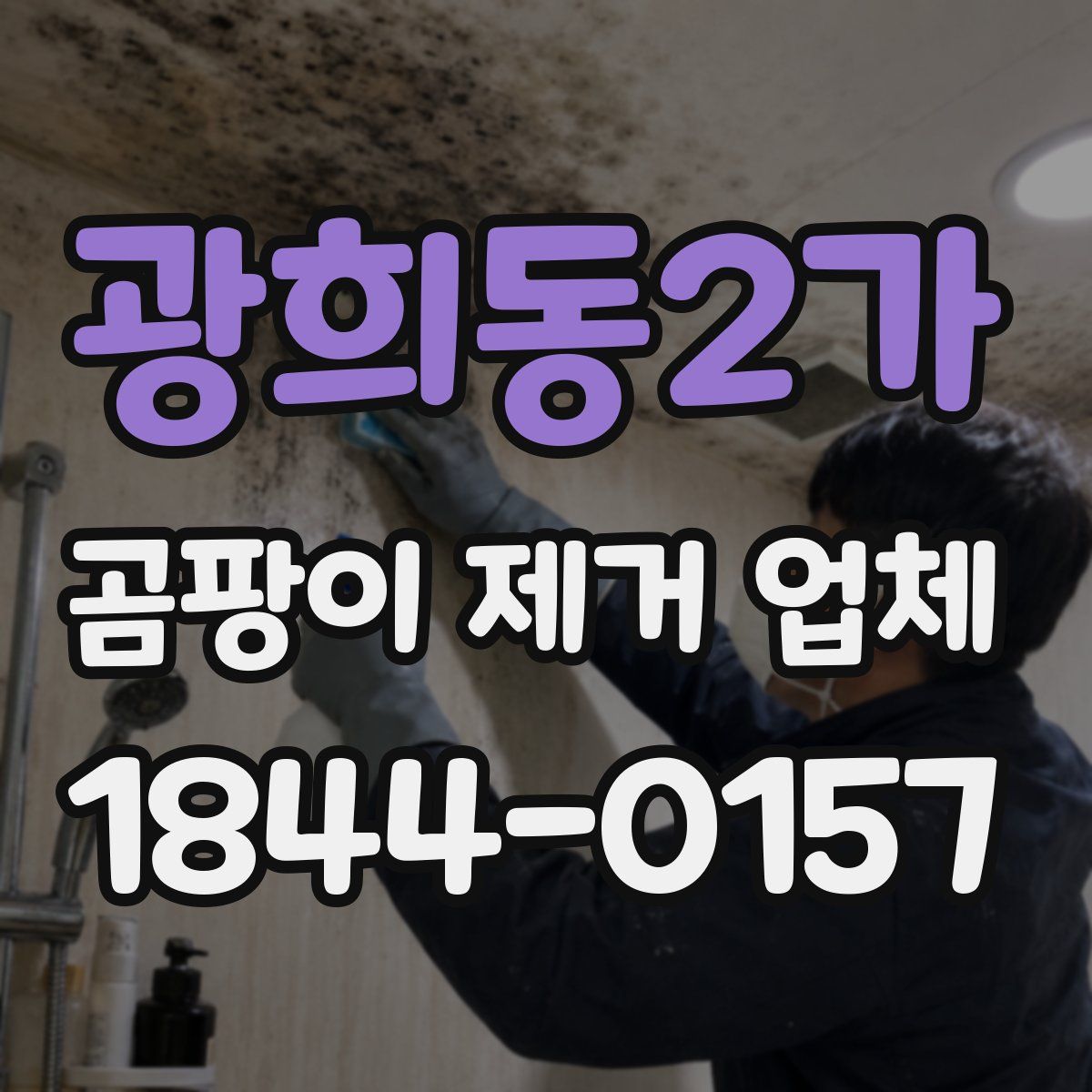 광희동2가 곰팡이 제거 업체