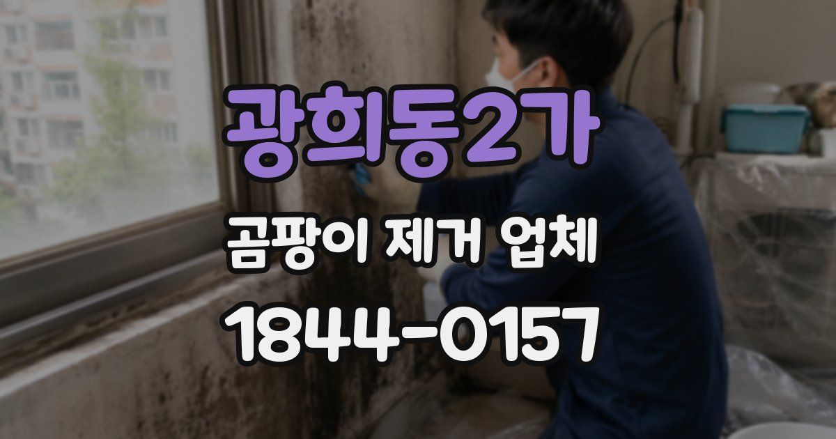 광희동2가 곰팡이 제거 업체