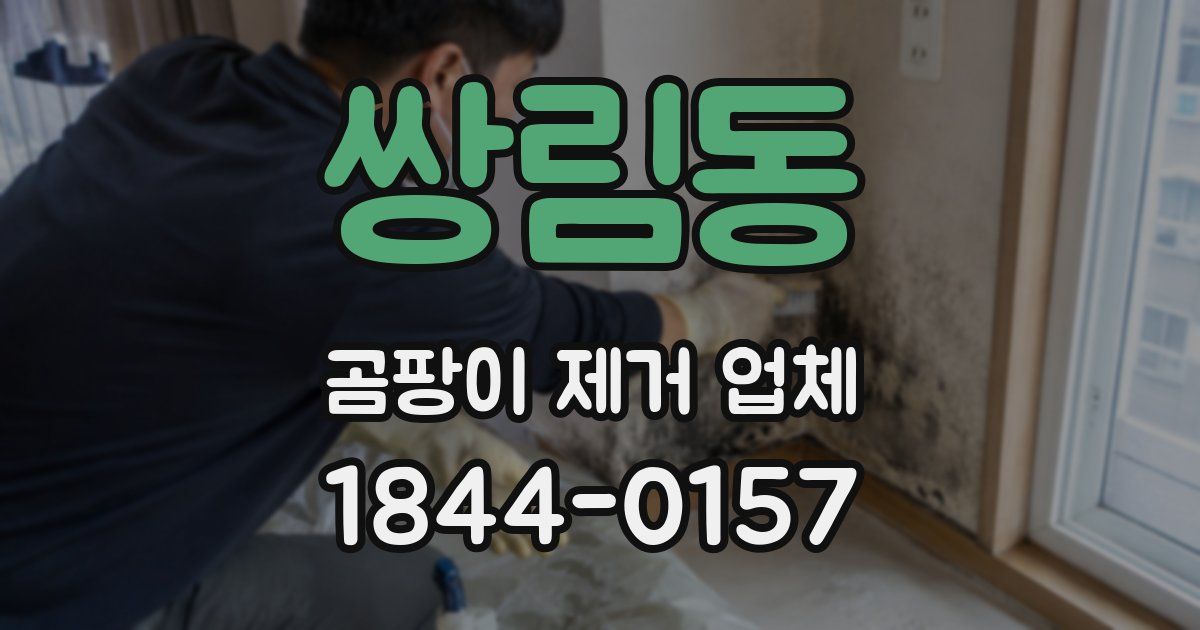쌍림동 곰팡이 제거 업체