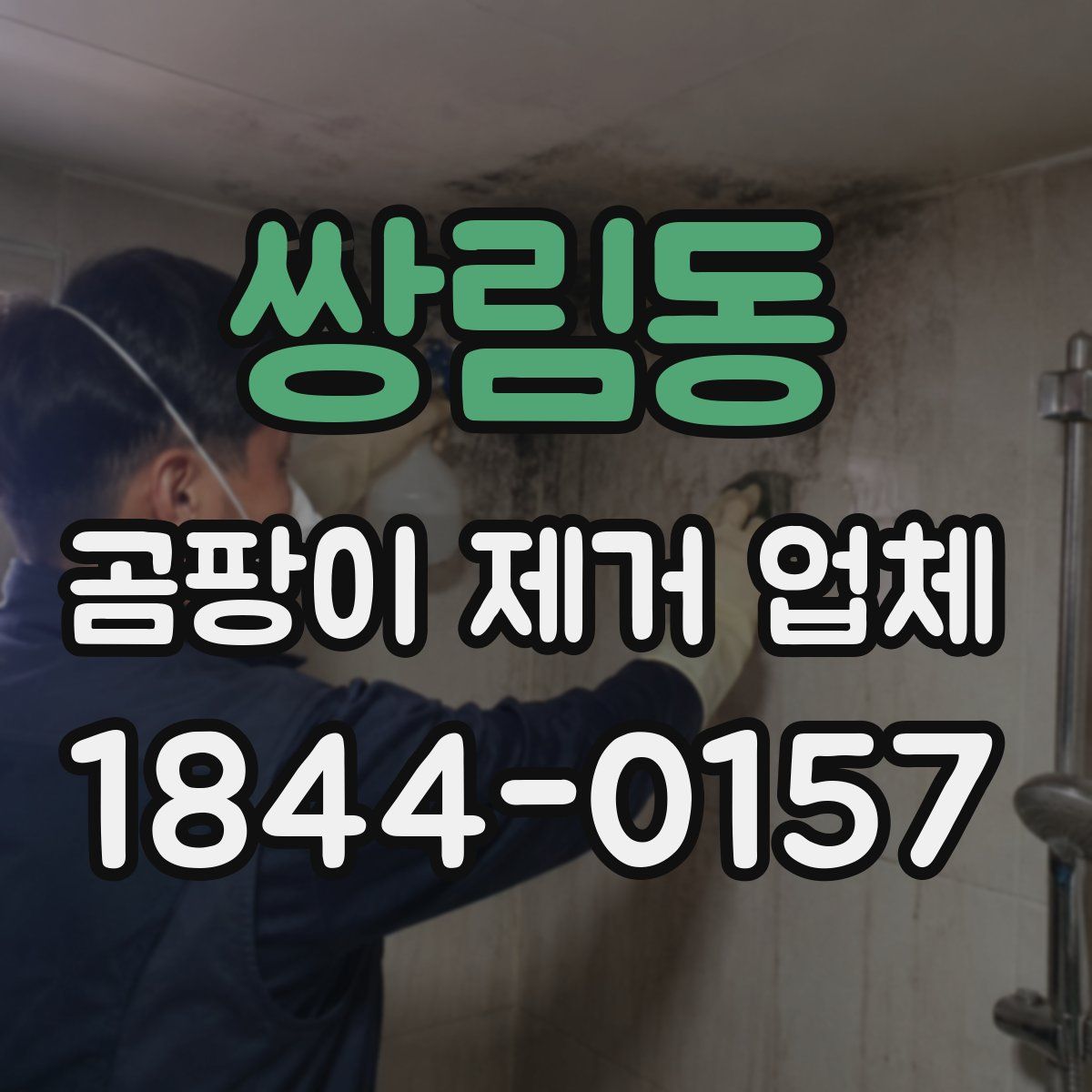 쌍림동 곰팡이 제거 업체